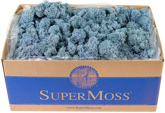 Reindeer Moss Preserved 3lb Bulk Box