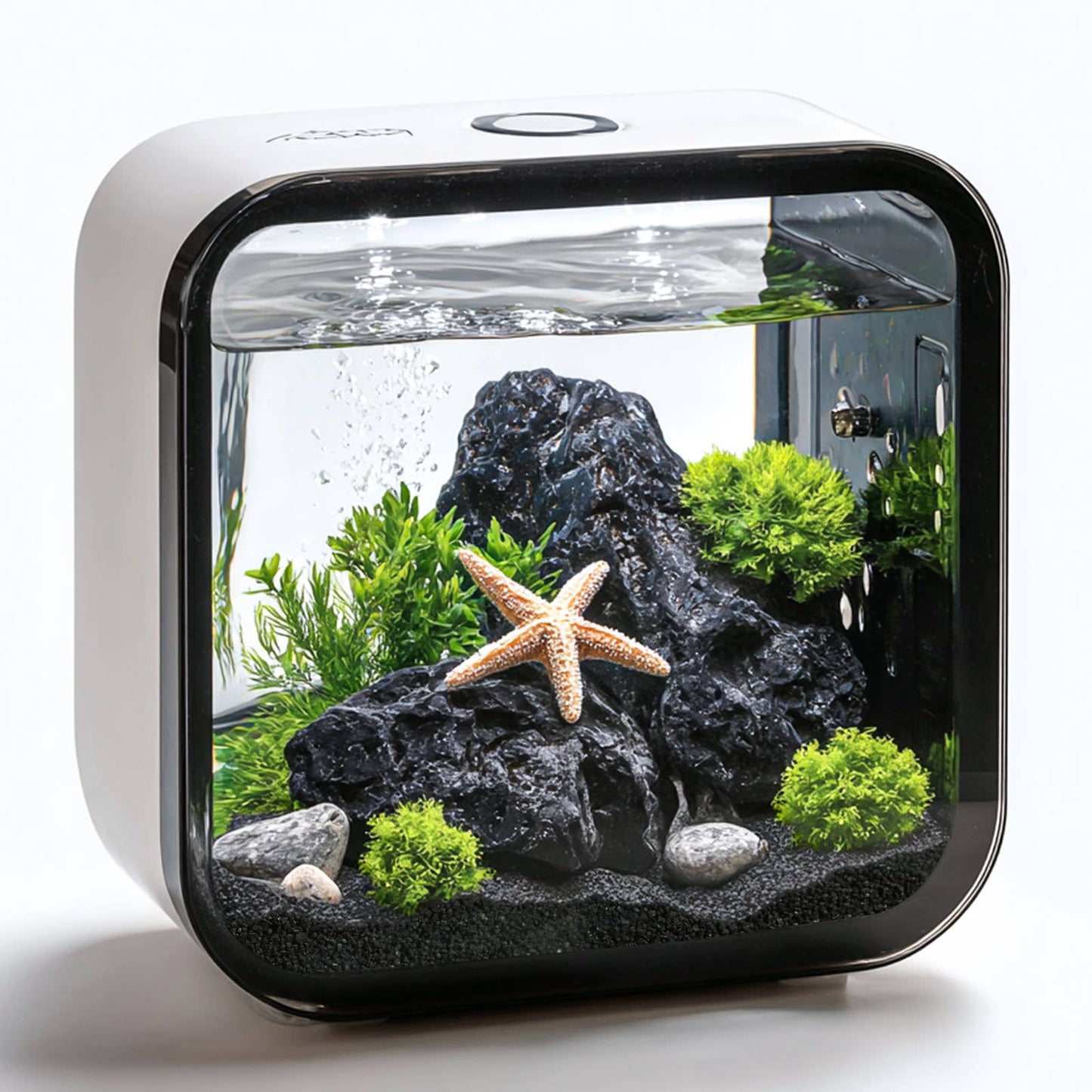 Black Galaxy Stones, Small Decorative Rocks, Garden Gravel